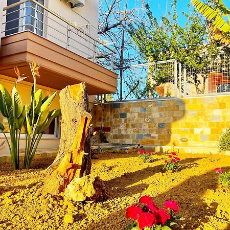 Glaros Beach Apartment Kato Daratso Bagian luar foto